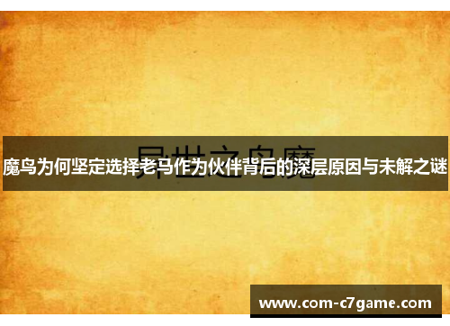 魔鸟为何坚定选择老马作为伙伴背后的深层原因与未解之谜