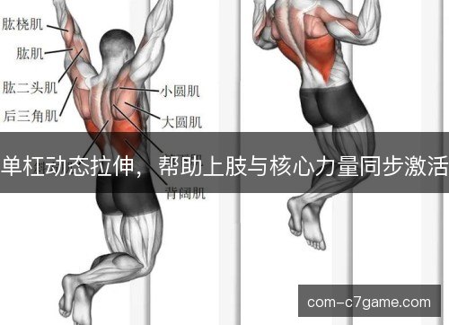单杠动态拉伸，帮助上肢与核心力量同步激活